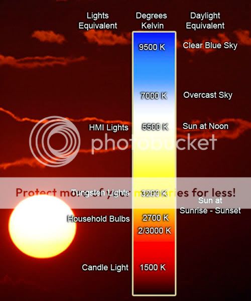 Filters20Kelvin20chart2.jpg