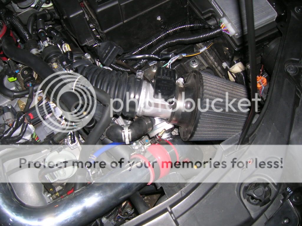 DSCN0747.jpg