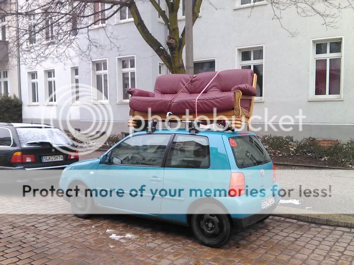 franzcouch.jpg