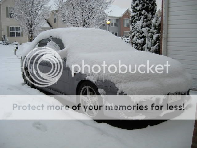 IMG_0018.jpg