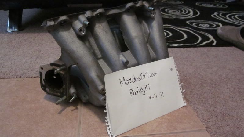 MSP002-1.jpg