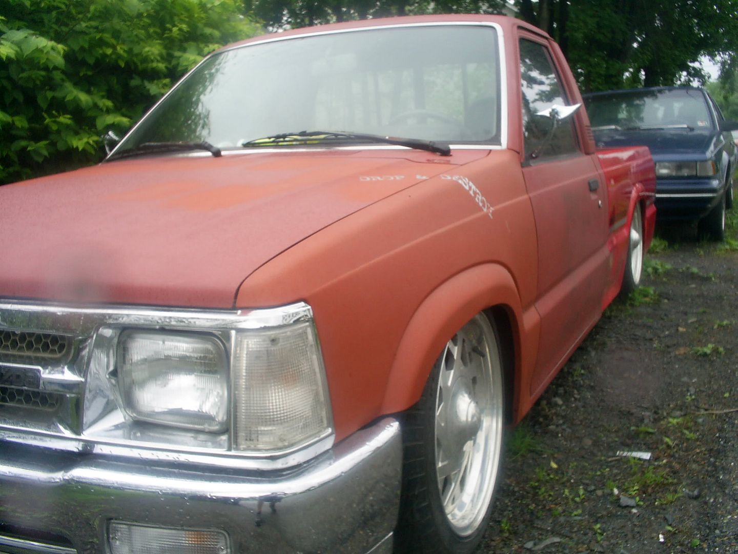 S4020582.jpg