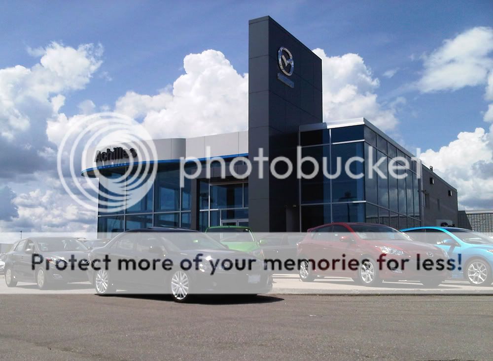 dealership.jpg