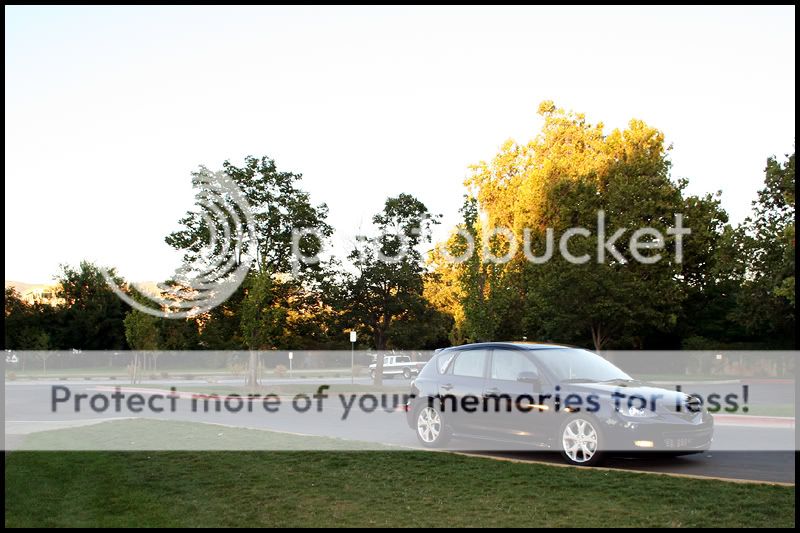 274.jpg
