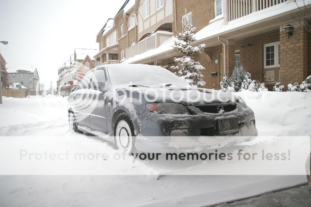 winter5.jpg