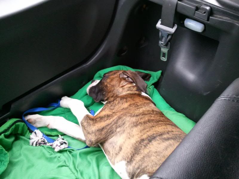 2011-05-01184935.jpg