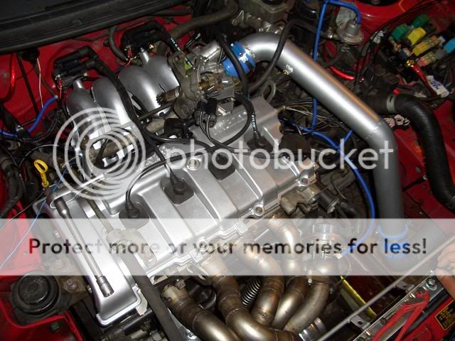 CIMG1137.jpg