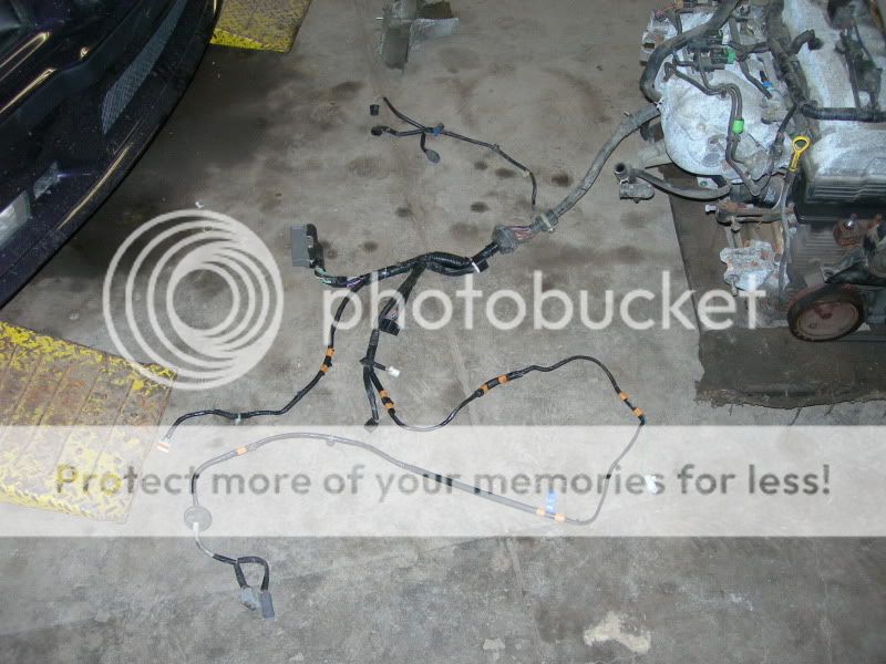proengine006.jpg