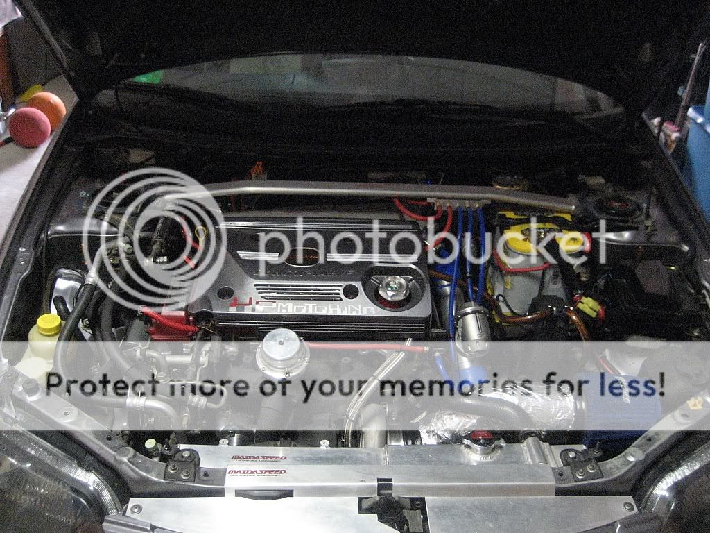 July201041.jpg