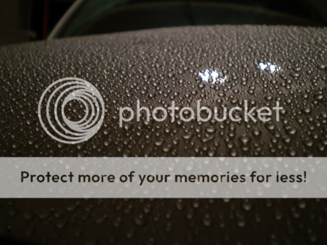 PA110438.jpg