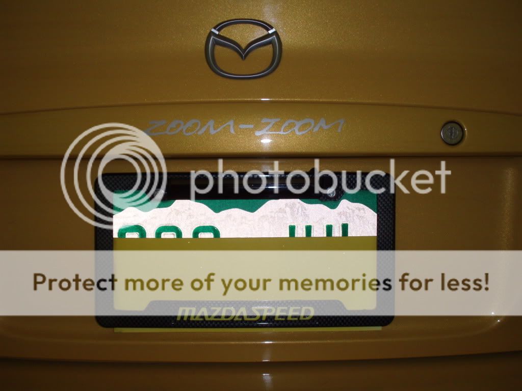pictures084.jpg