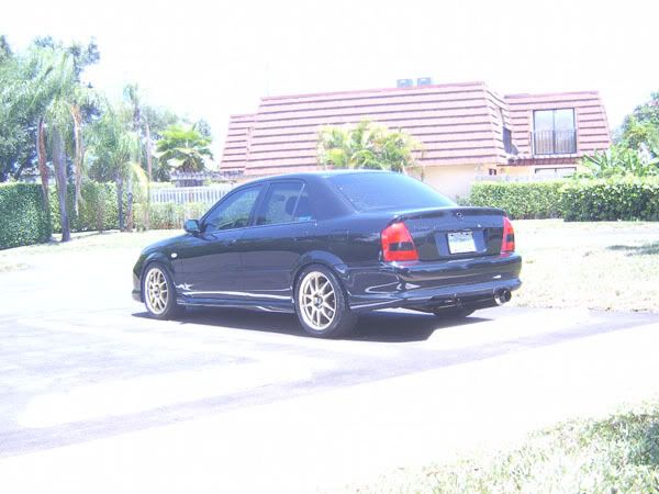 wingless1-1.jpg