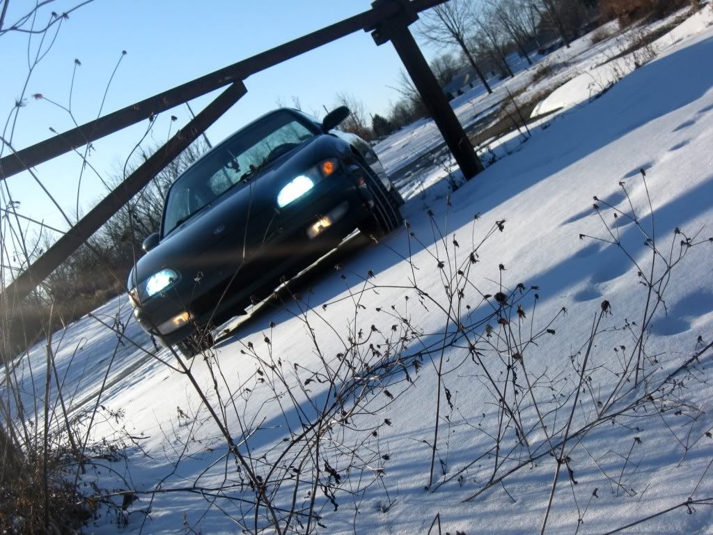 IMG_0144.jpg