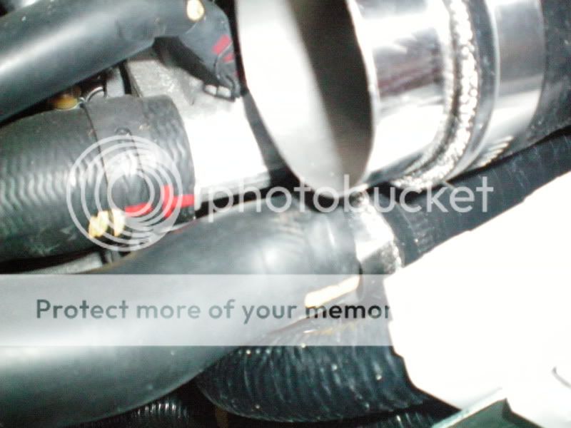 Copyof100_0293.jpg