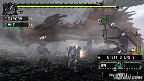 monster-hunter-3-20060522023004201.jpg