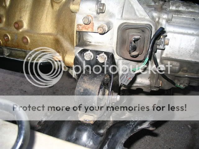 IMG_1667.jpg