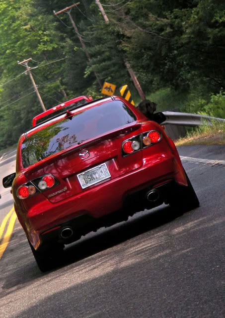 Speed6-03.jpg