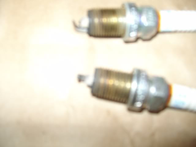 SANY0440.jpg