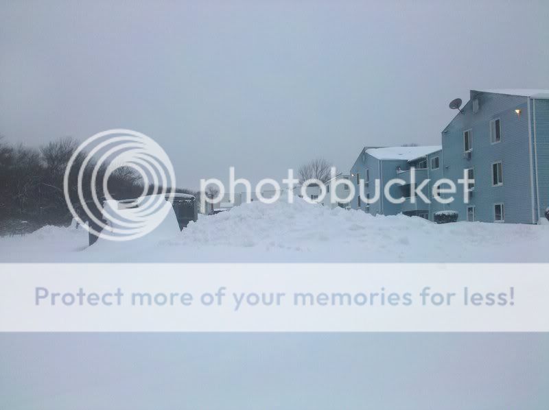 2009-12-20113542.jpg