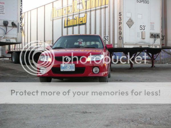whip6.jpg