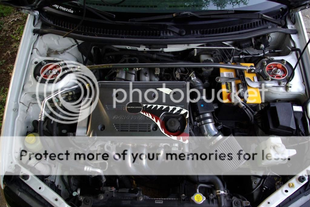 may42010011.jpg