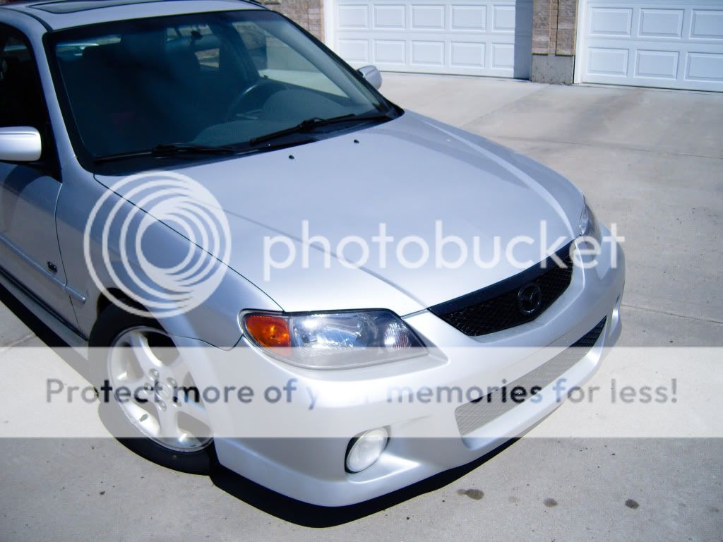 S1030281.jpg