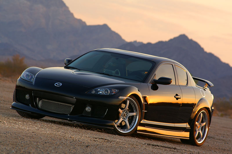 16_800x600.jpg
