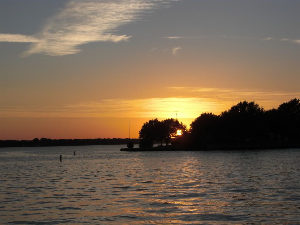CIMG0487.jpg