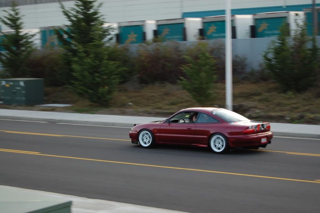 DSC_0062.jpg