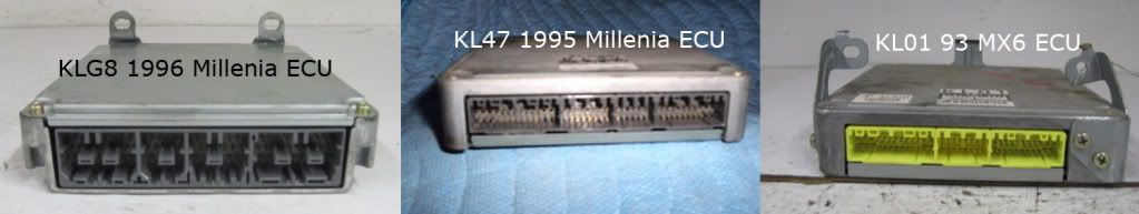 ecus-1.jpg