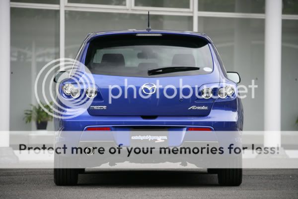 paintedtailsWB-1.jpg