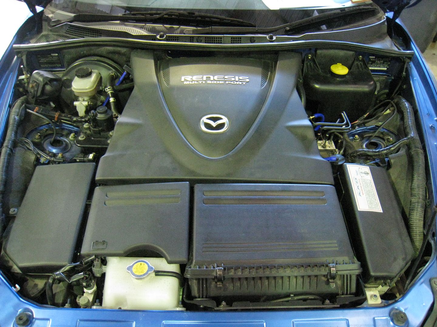 17-04-2010002.jpg