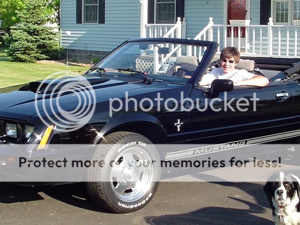 MustangFinished015.jpg