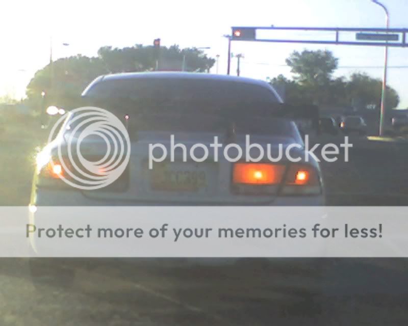 img085.jpg