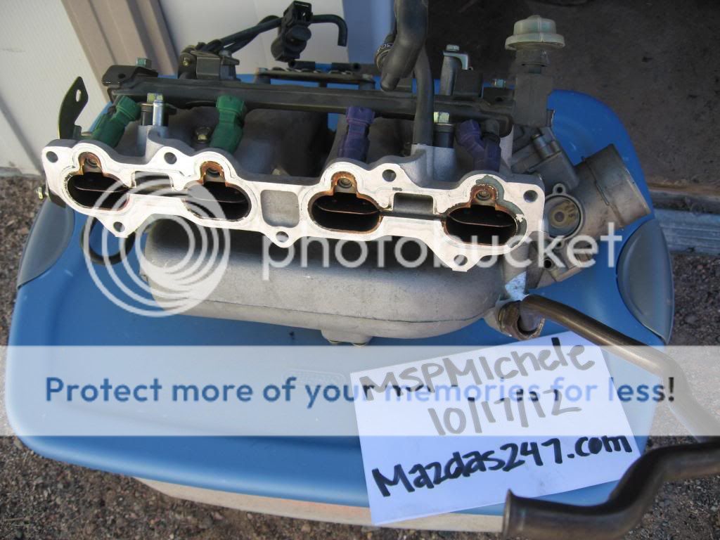 IMG_3397_zps01825aae.jpg