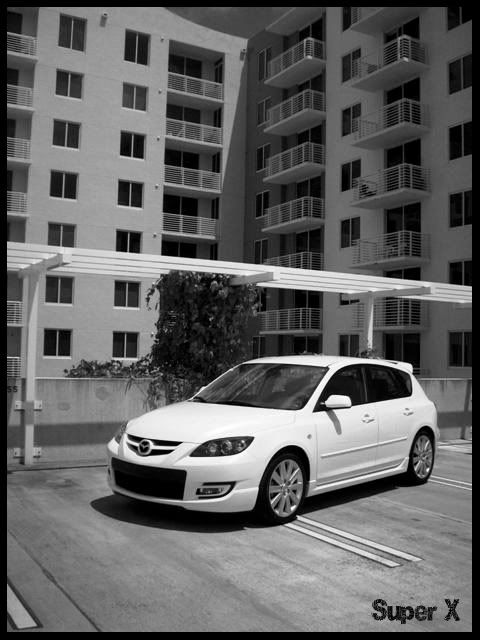 speed3066.jpg