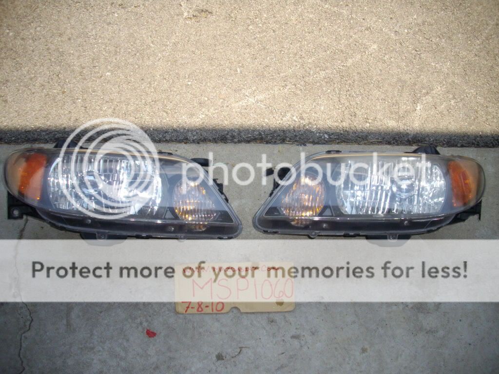 IMGP7125.jpg