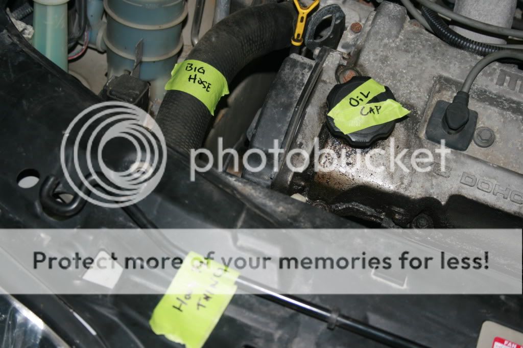 IMG_9838.jpg