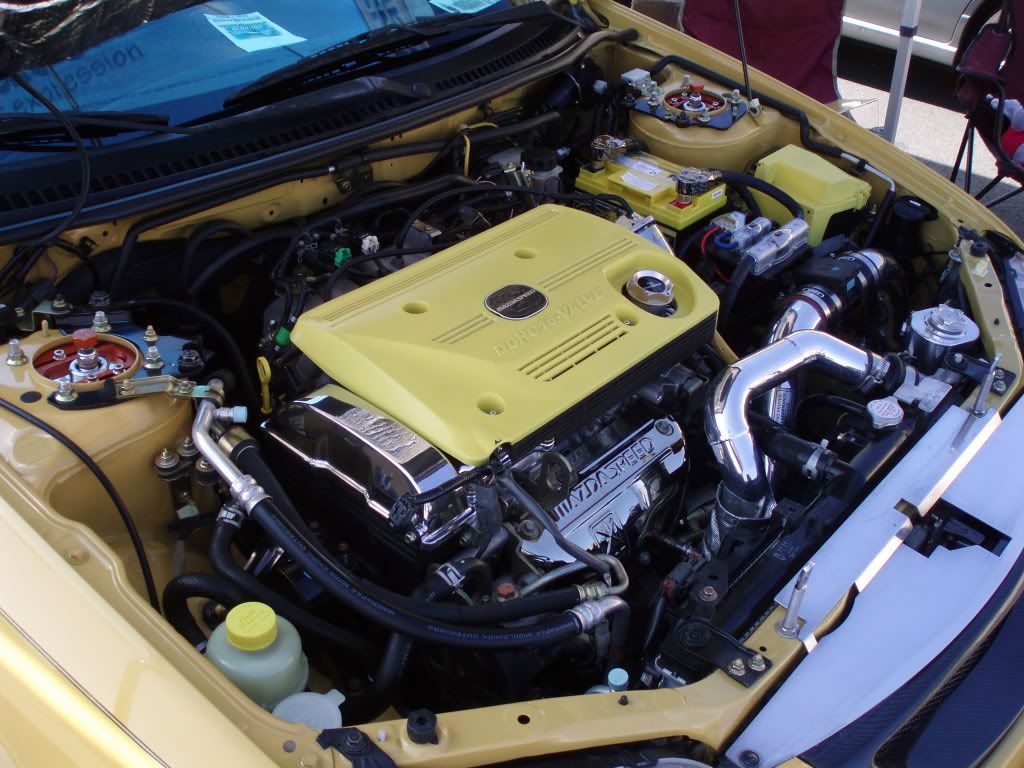 pictures044.jpg