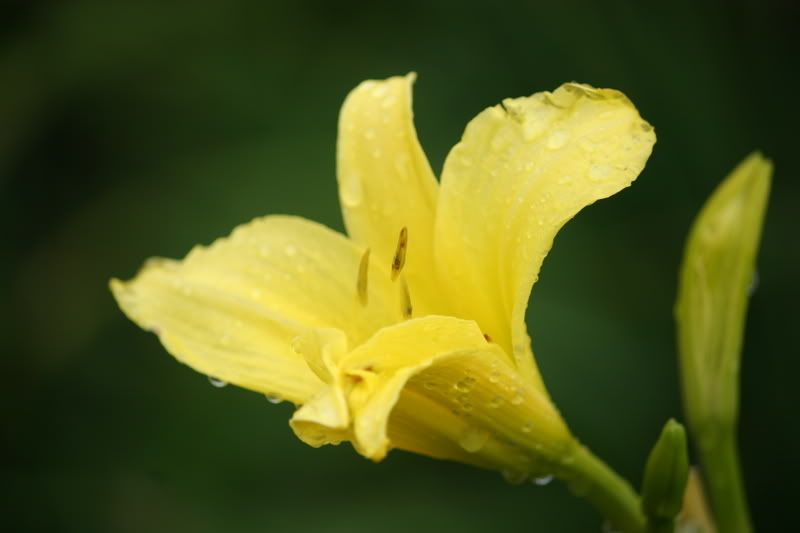 4573360e.jpg
