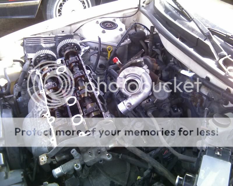1268766033.jpg