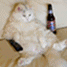 6015catdrinkin.gif