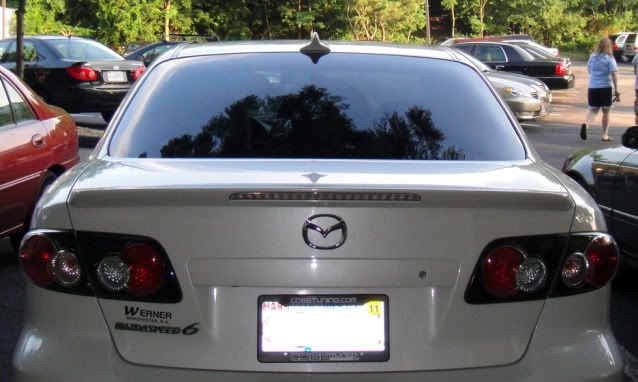 Sharkfin1.jpg