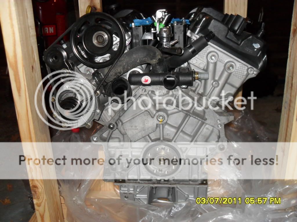 SDC10035.jpg