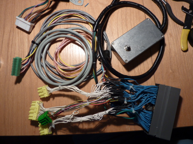 P1010363.JPG