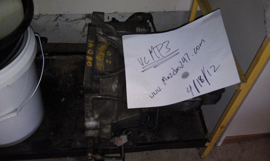 IMAG0555.jpg