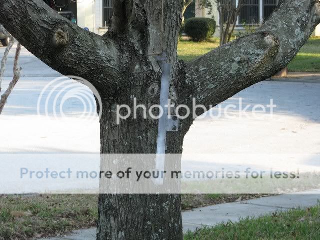 IMG_1713.jpg