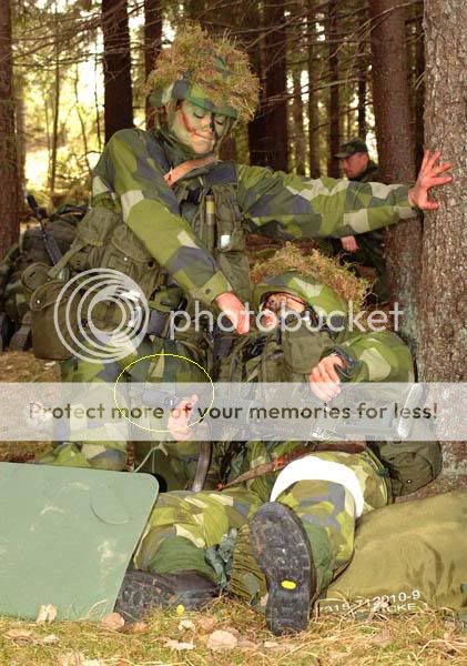 Swedish2.jpg