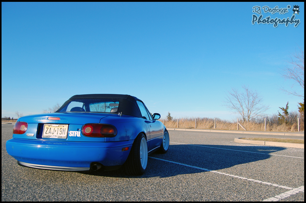4412492370_f16a63f600_o.jpg