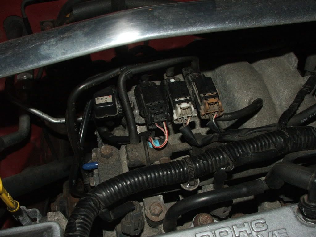 DSCF0768.jpg
